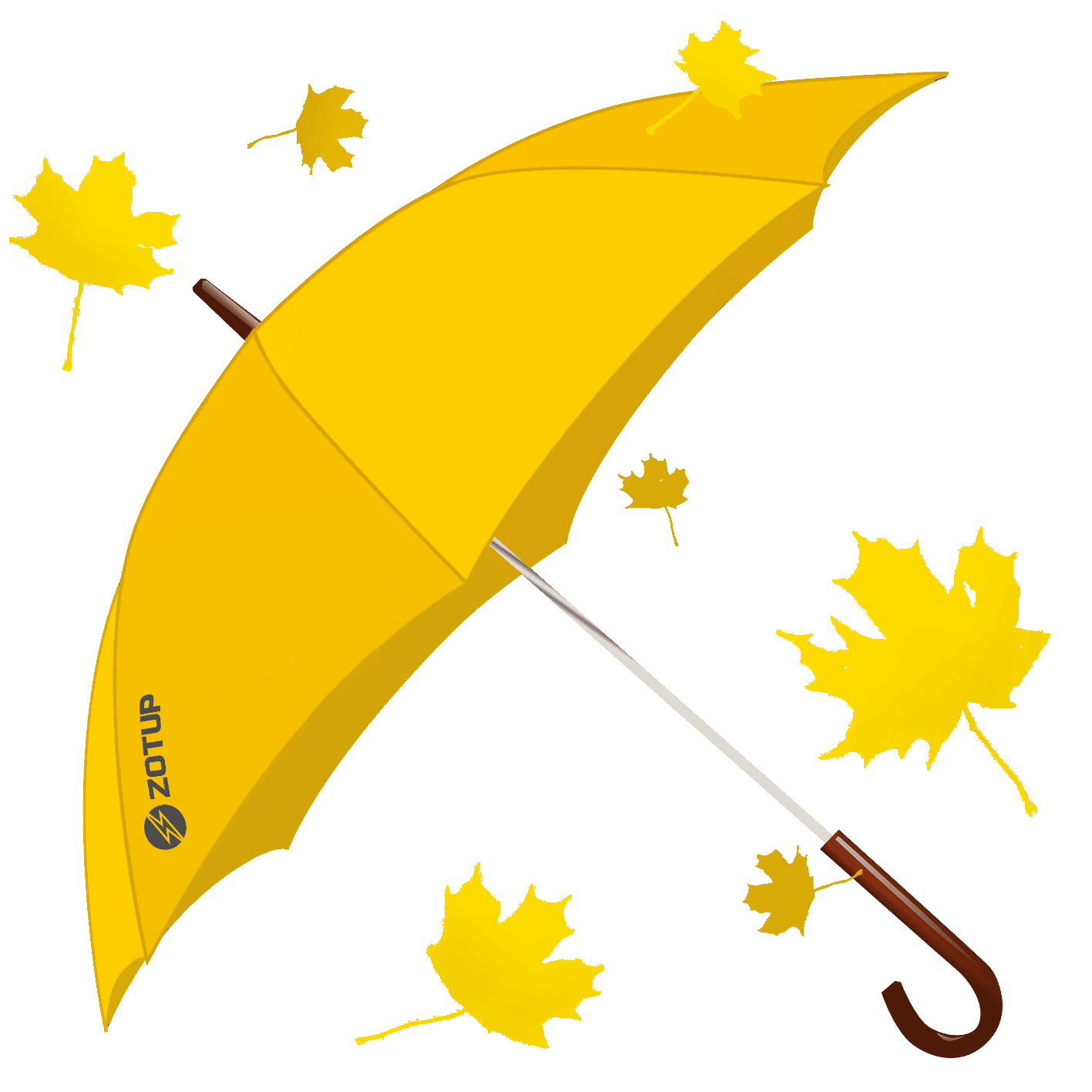 ZOTUP umbrella