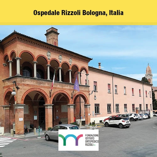 Rizzoli Hospital, Bologna (BO)