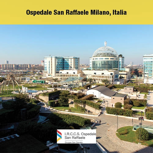Hôpital San Raffaele, Milan