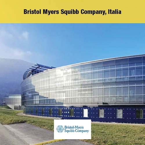 Bristol Myers, Italie